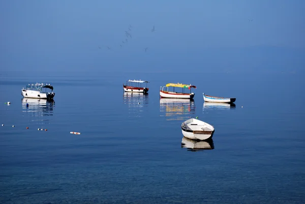 Ψαρόβαρκες, Οχρίδα λίμνη — Φωτογραφία Αρχείου