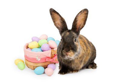 Easter bunny next to basket with pastel colored plastic eggs clipart