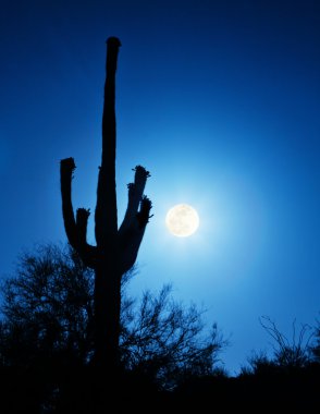 Super Full Moon With Saguaro Cactus in Phoenix Arizona clipart