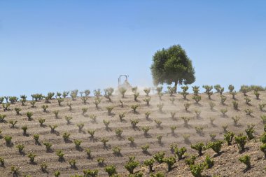 Farming on a California vineyard clipart