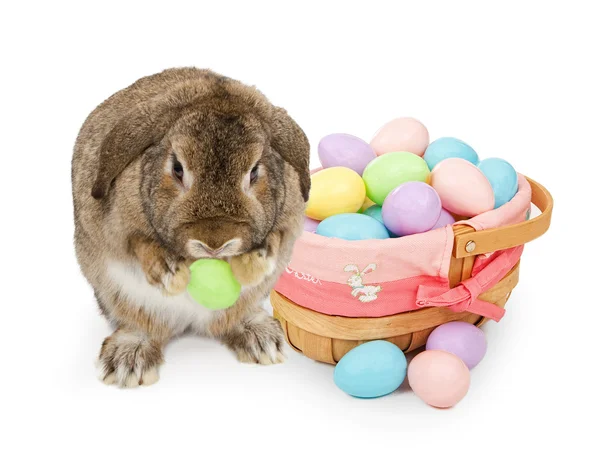 Пасхальный кролик с корзиной и яйцами — стоковое фото