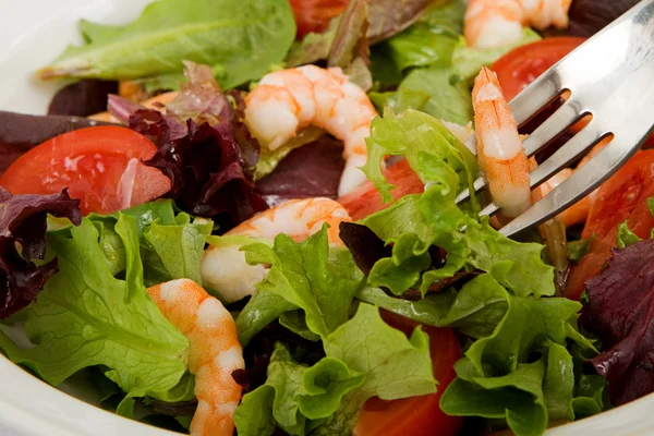 Salada de camarão verde — Fotografia de Stock