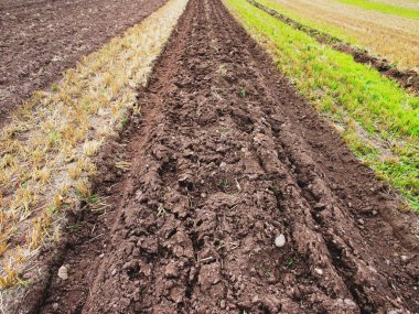 Ploughed field clipart