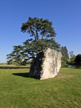 Compton verney