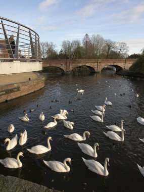 River Avon