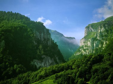 Pyrenees