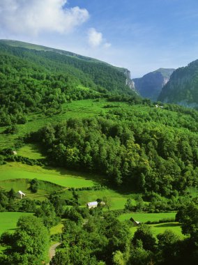 Pyrenees