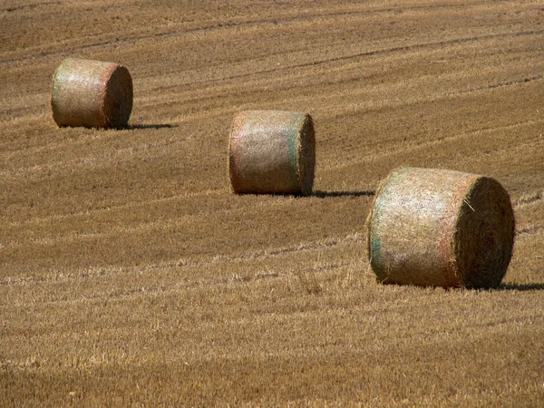 Tierras agrícolas después de la cosecha — Foto de Stock