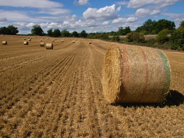 Landbouwgrond na de oogst — Stockfoto