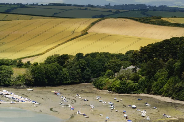 stock image Salcombe