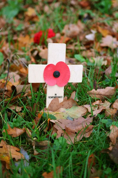 Remembrance day — Stock Photo, Image