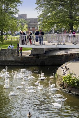 River Avon