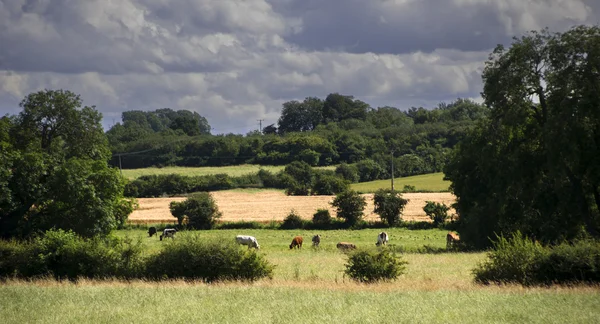 Terras agrícolas — Fotografia de Stock