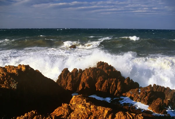 岩质海岸 — 图库照片