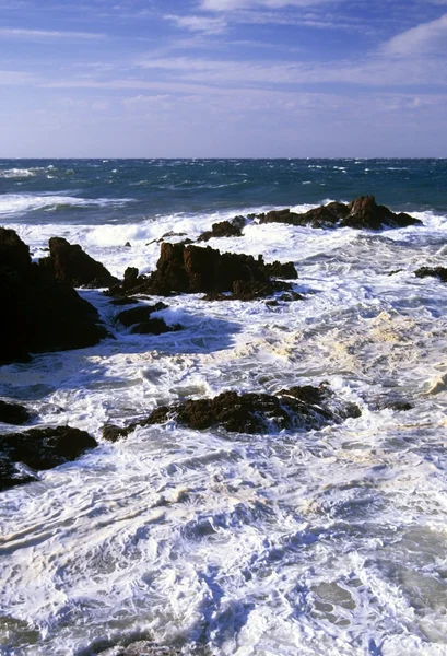 ロッキー海岸 — ストック写真