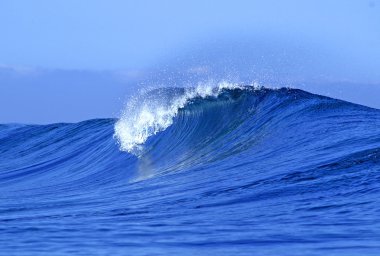 Ocean wave clipart