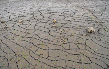 Bottom of dried up lake bed