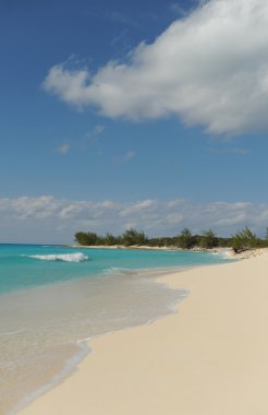 Tropcial beach with blue water and white sand clipart