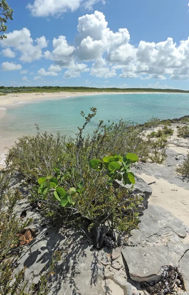Пустой пляж в тропической обстановке — стоковое фото