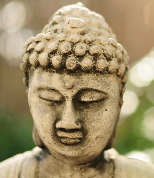 Buddha-fej — Stock Fotó