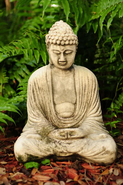 Будда медитирует с папоротниками на заднем плане — стоковое фото