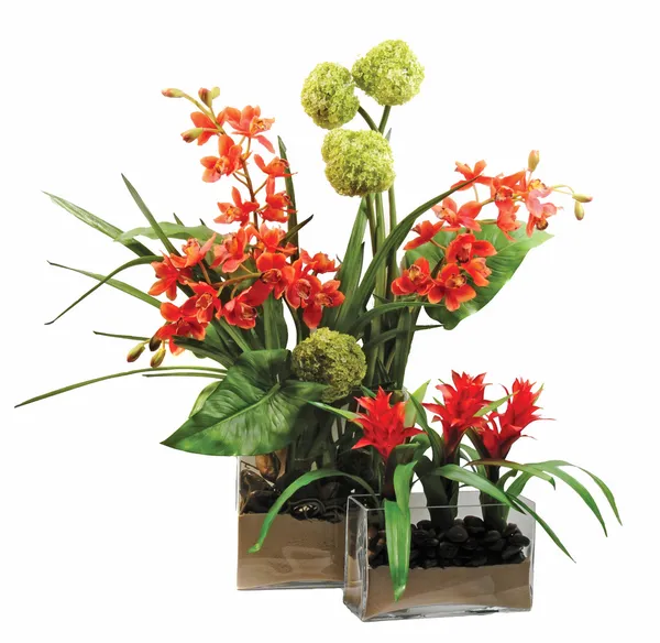 stock image Vases of beauitful flowers isolated on white background