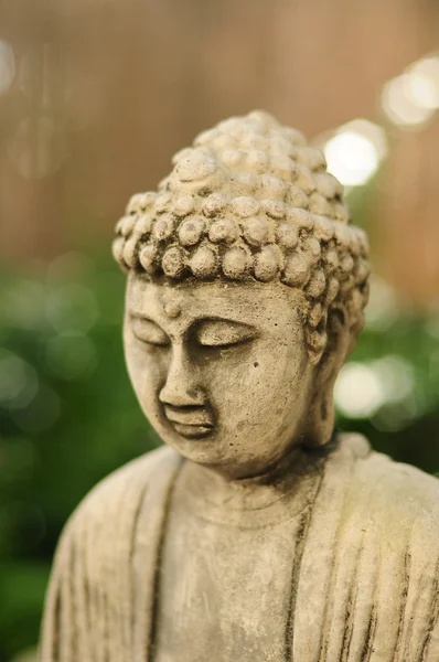 Вид сбоку на Будду на зеленом и коричневом фоне — стоковое фото