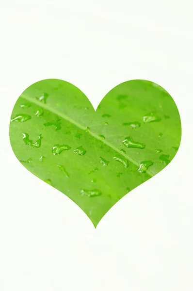Srdce s texturou, zelený list — Stock fotografie