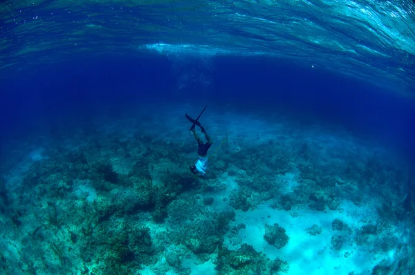 Muž volné potápění a fotografování pod vodou — Stock fotografie