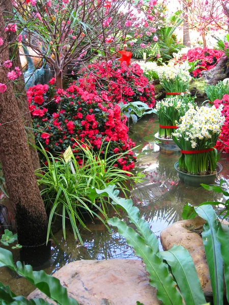 Azjatycki ogród — Zdjęcie stockowe
