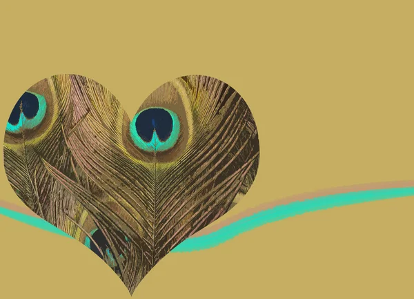 Corazón de pluma de pavo real —  Fotos de Stock