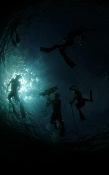 Grupp dykare under vatten spearfishing — Stockfoto