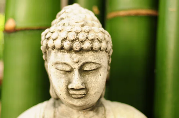 stock image Buddha with bamboo in background