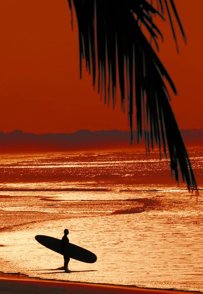Surfer in tropische bestemming — Stockfoto