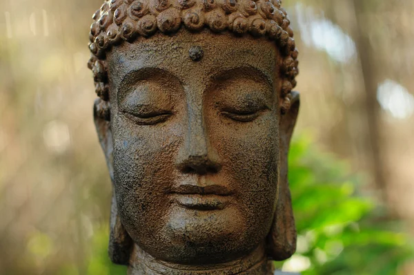 Buddhism culture — Stock Photo, Image