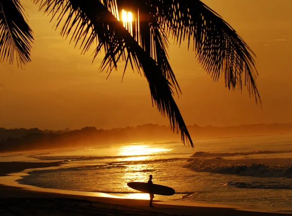 Susnet em localização tropical com surfista — Fotografia de Stock