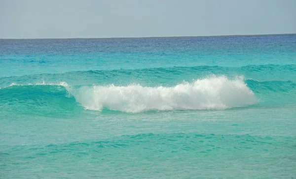 Tropikal bir ortamda dalgalar — Stok fotoğraf