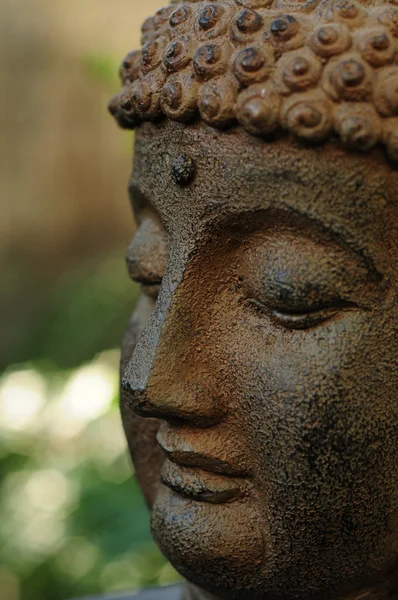 Крупный план головы Будды — стоковое фото