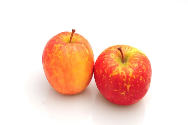 Manzanas ecológicas aisladas sobre fondo blanco —  Fotos de Stock