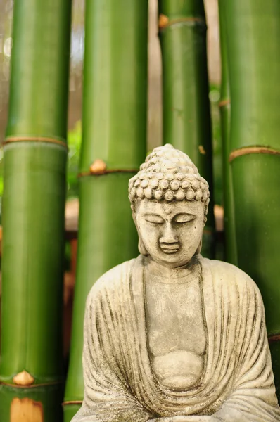 대나무와 부처님 — 스톡 사진