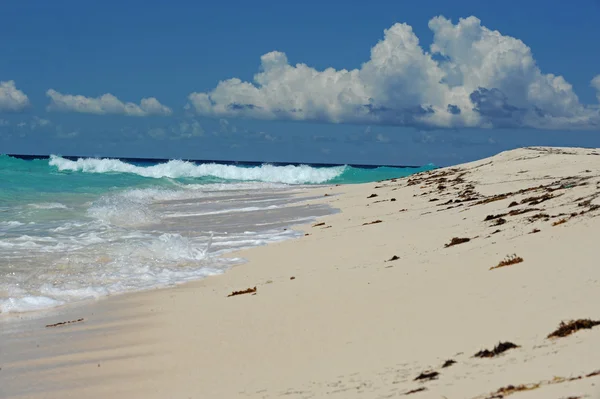 Perfekter Strand in tropischer Umgebung Stockbild