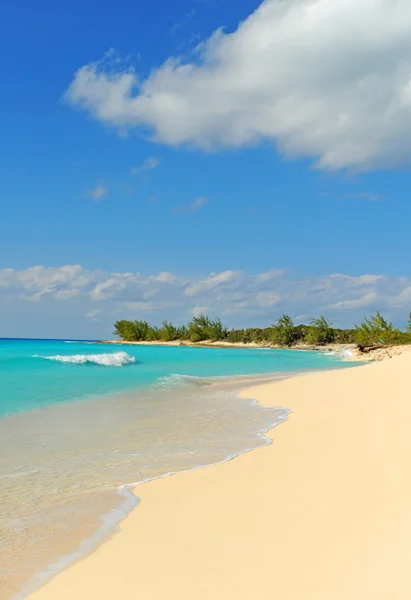 Playa tropical sin nadie — Foto de Stock
