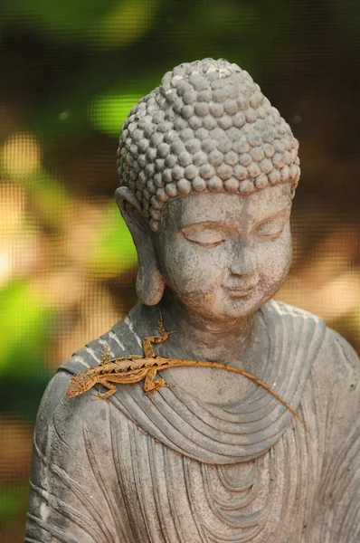 Lizard en buddha — Stockfoto