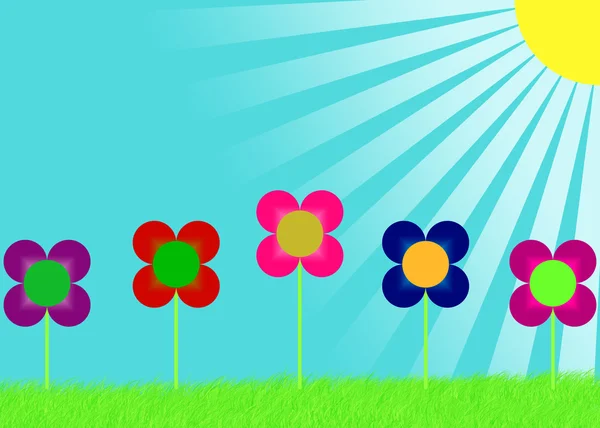 Fem ljusa blommor och solstrålar — Stockfoto
