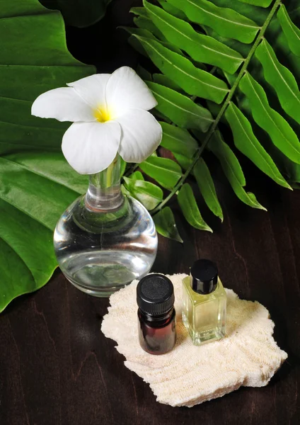 Flower and essential oils — Stock Photo, Image