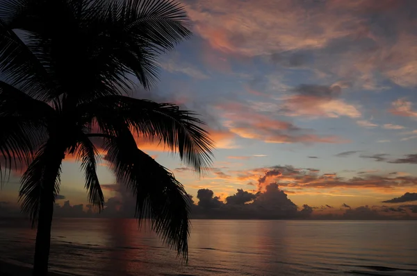 Тропический восход солнца над океаном — стоковое фото