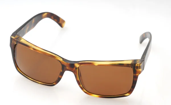 Bruin zonnebril — Stockfoto
