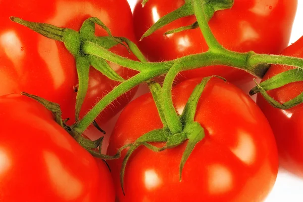 stock image Tomatoes