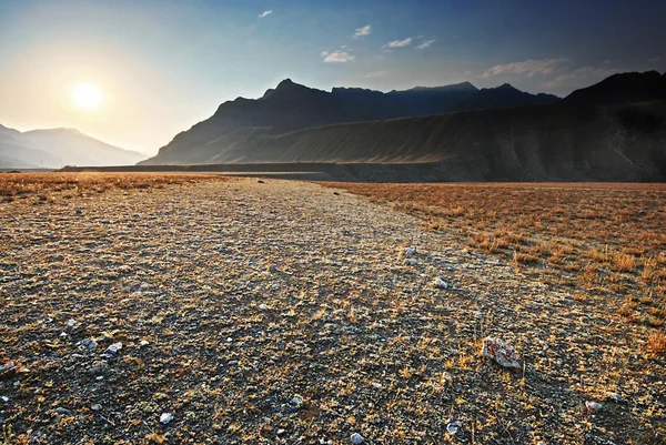 Skalnaté údolí. horský Altaj. — Stock fotografie