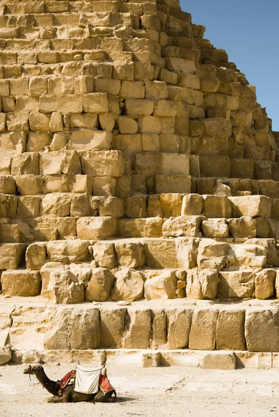 Piramidy w Gizie — Zdjęcie stockowe